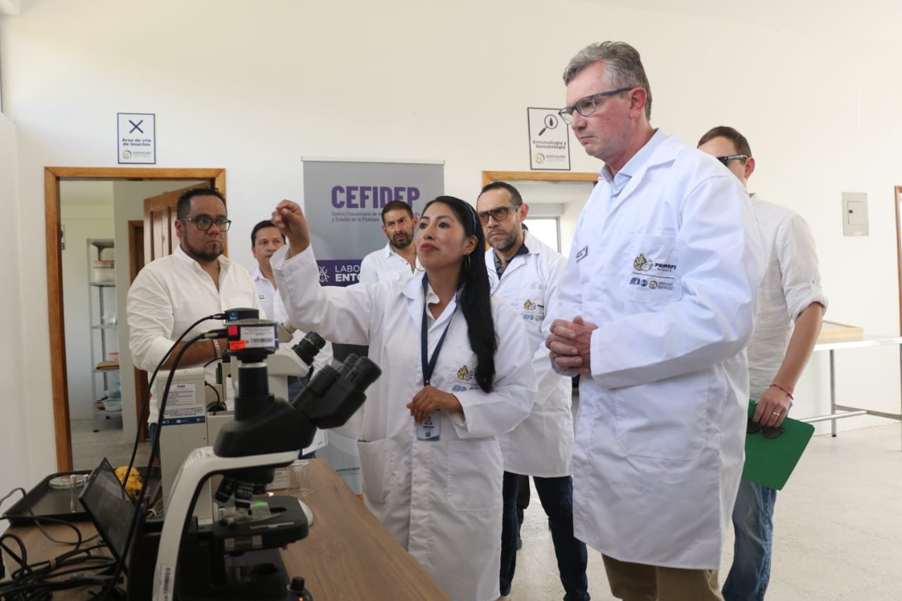 Inauguración del CEFIDEP en Palora, Morona Santiago, un hito para la cadena agroproductiva de la pitahaya en Ecuador