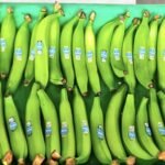 Productores de plátano de la Agricultura Familiar Campesina de Manabí concretan la primera exportación internacional con Sello AFC hacia el mercado chileno.