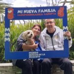 Perros y gatos vacunados, esterilizados y listos para encontrar un hogar durante la primera jornada nacional de adopciones de Mundo Mágico de la Mascota en Quito, Ambato y Manta.