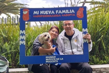 Perros y gatos vacunados, esterilizados y listos para encontrar un hogar durante la primera jornada nacional de adopciones de Mundo Mágico de la Mascota en Quito, Ambato y Manta.