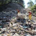 Galápagos Guardians promueve una comunicación ambiental basada en evidencia y cero tolerancia frente al greenwashing. Cortesía: Galápagos Guardians.