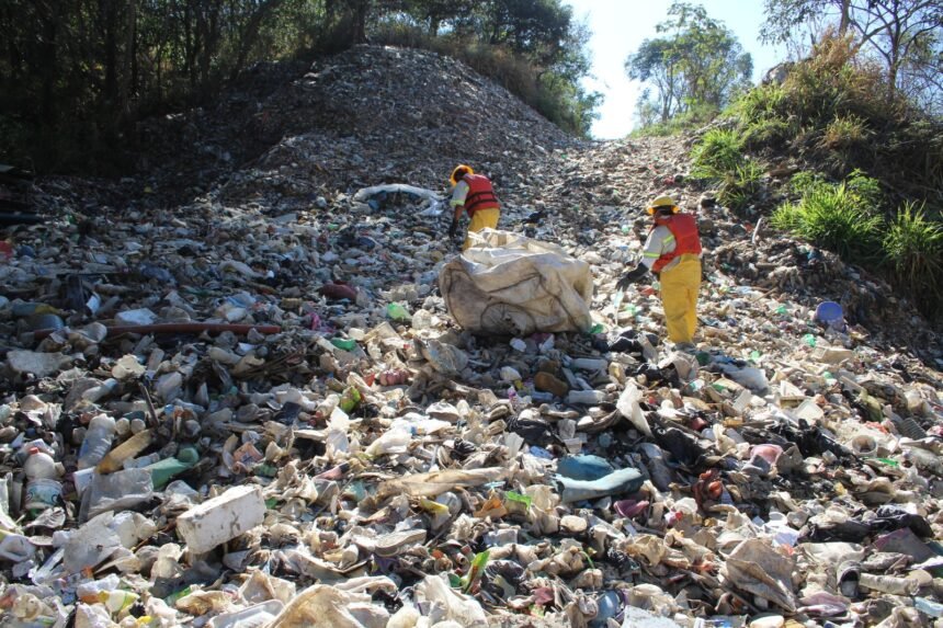Galápagos Guardians promueve una comunicación ambiental basada en evidencia y cero tolerancia frente al greenwashing. Cortesía: Galápagos Guardians.