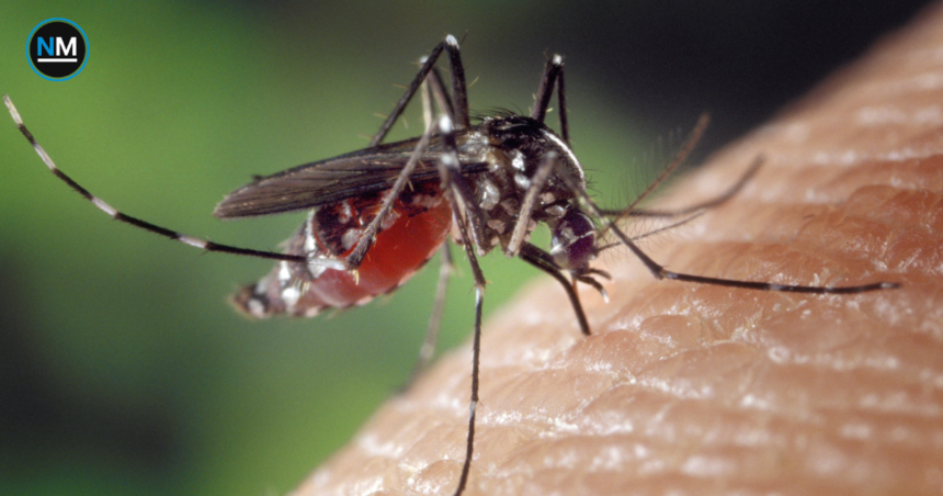 dengue-ecuador-casos-2026.jpg